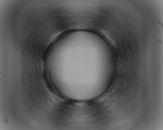 X0000094770164200712141605