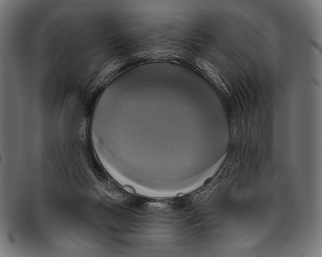 X0000094770167200712141605