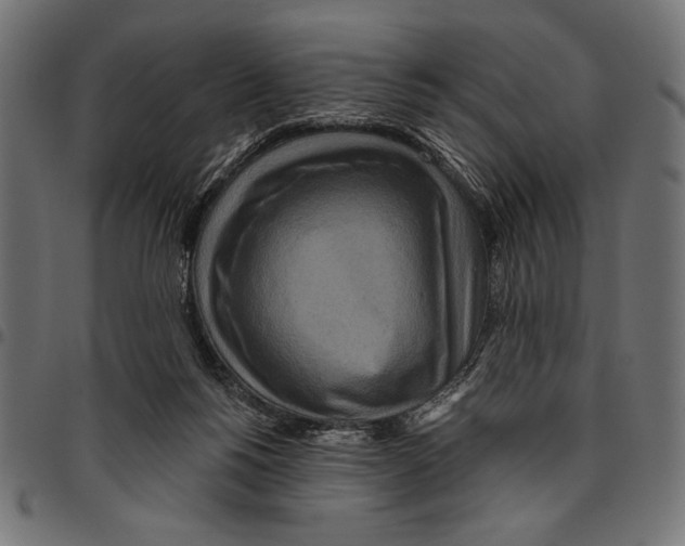 X0000094770168200712141605