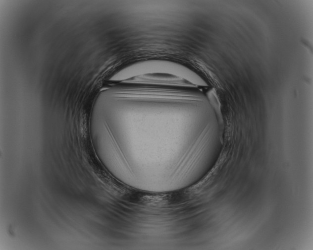 X0000094770170200712141605