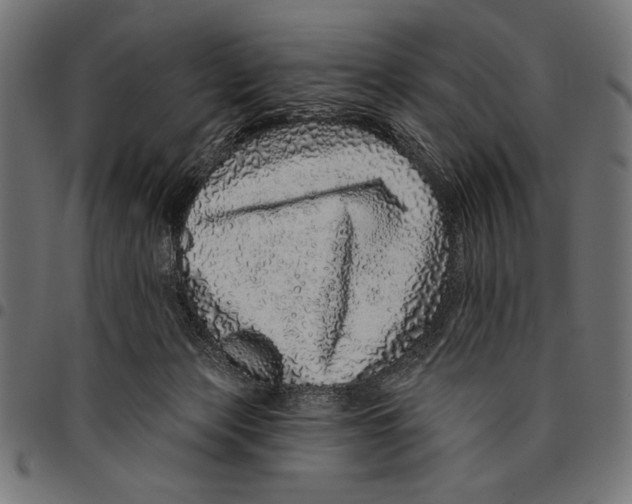 X0000094770173200712141606