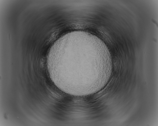 X0000094770175200712141606