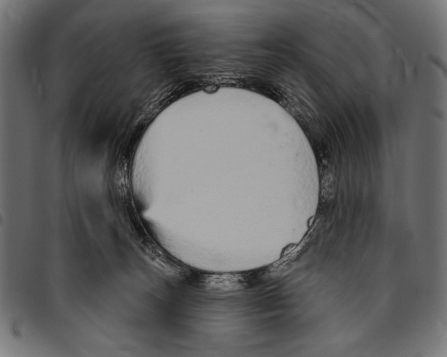 X0000094770179200712141606