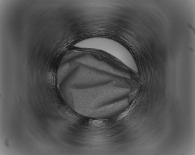 X0000094770180200712141606