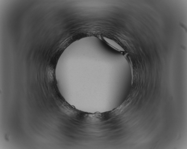 X0000094770188200712141606