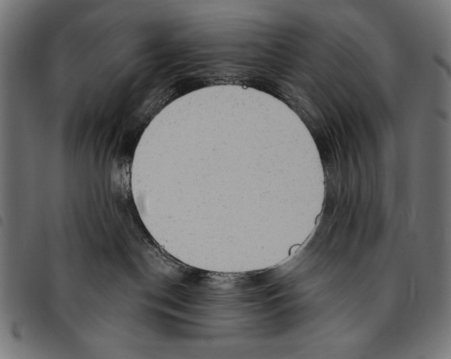 X0000094770190200712141606