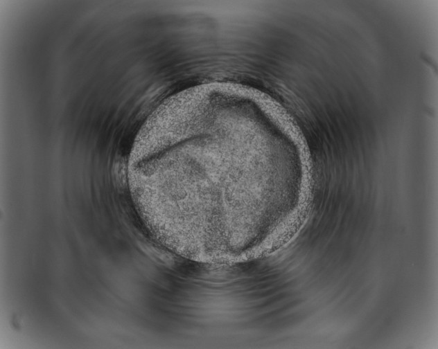 X0000094770191200712141606