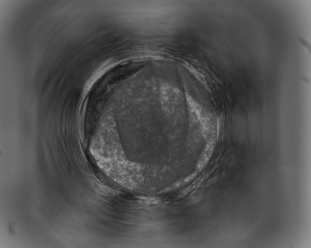 X0000094770195200712141605