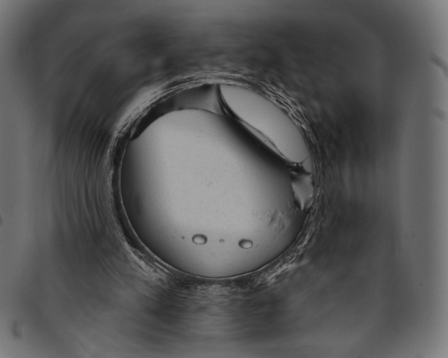 X0000094770197200712141605