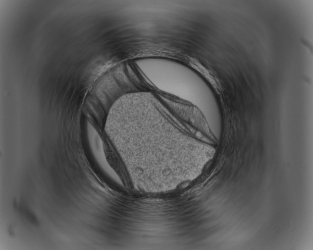 X0000094770203200712141605