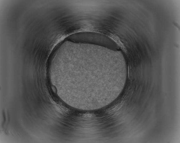 X0000094770204200712141605