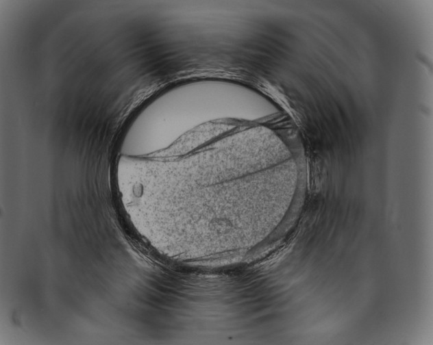 X0000094770205200712141605