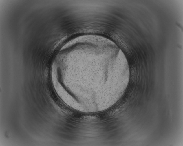 X0000094770208200712141605