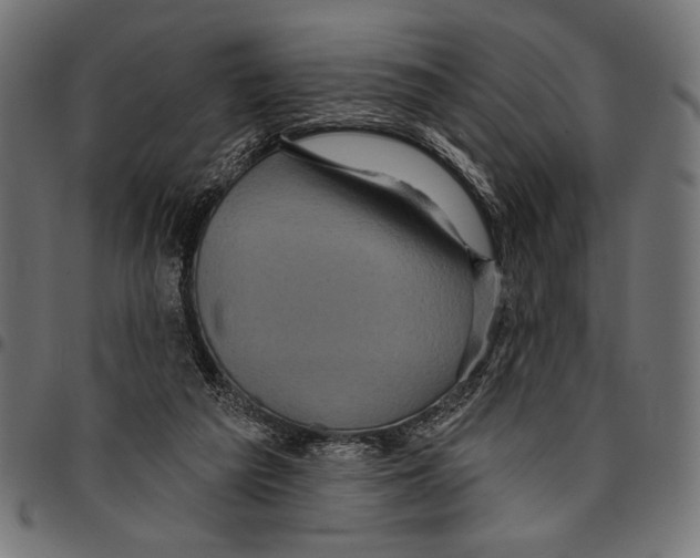 X0000094770209200712141605