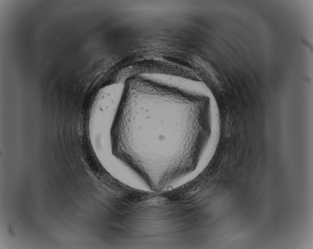 X0000094770210200712141605