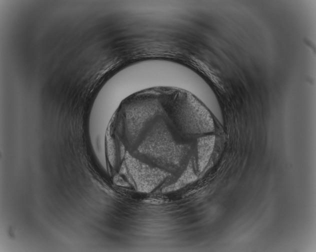 X0000094770211200712141605