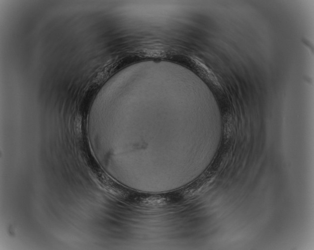 X0000094770213200712141605