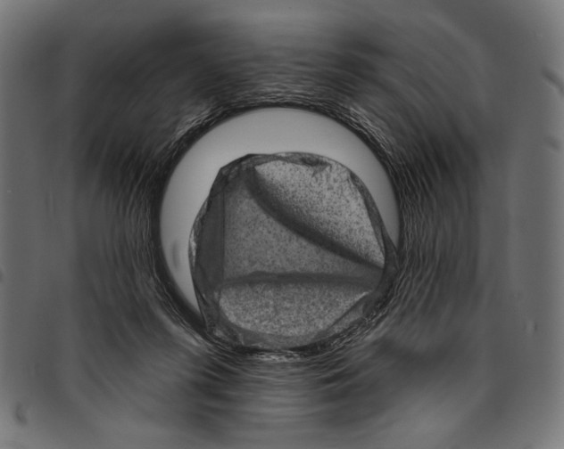 X0000094770215200712141605