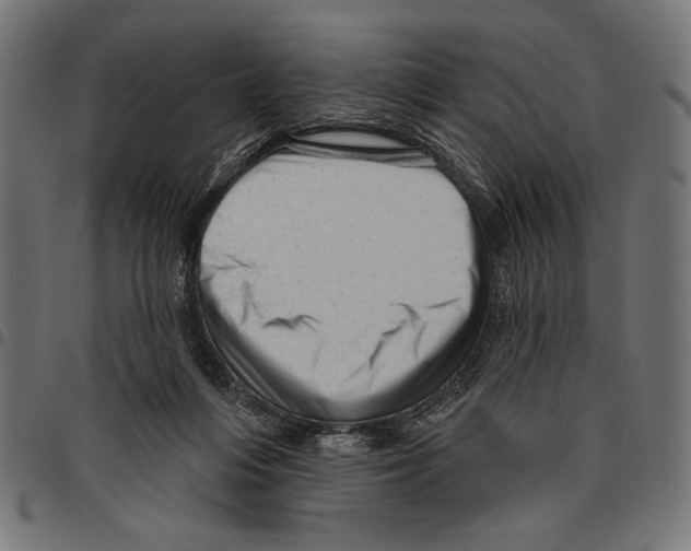 X0000094770216200712141605