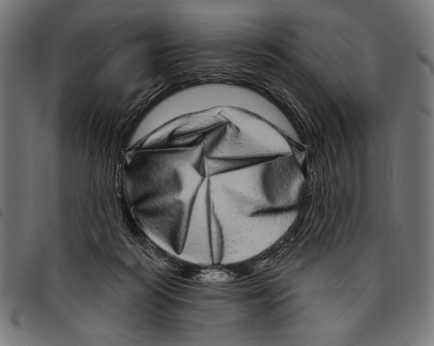 X0000094770218200712141605