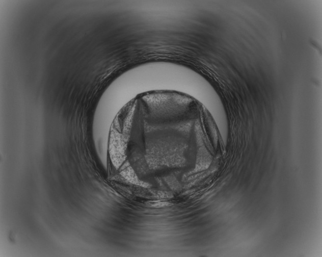 X0000094770219200712141605