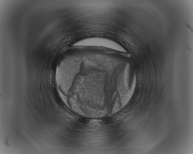 X0000094770222200712141605