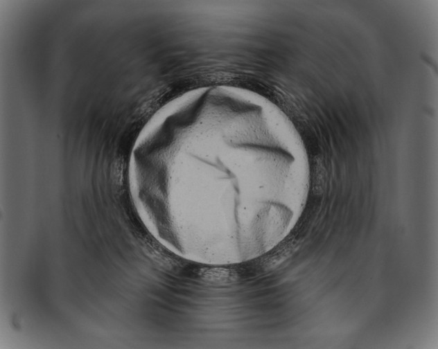 X0000094770230200712141605