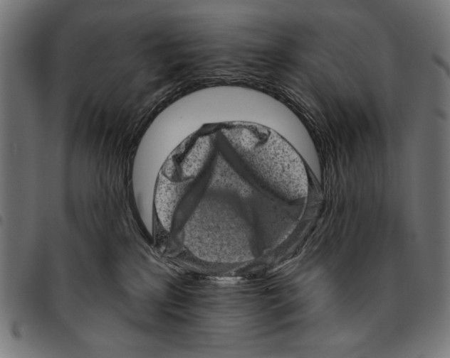 X0000094770233200712141605