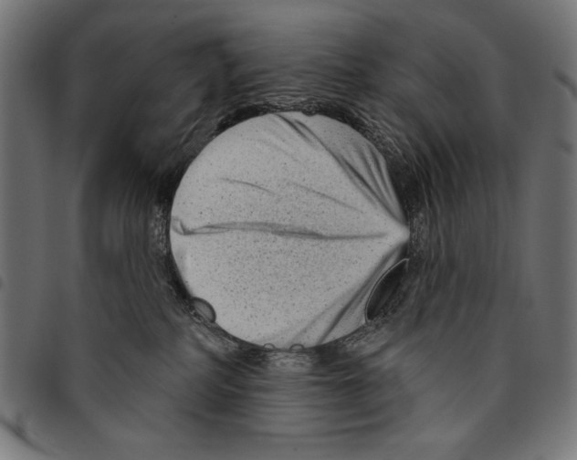 X0000094770234200712141605