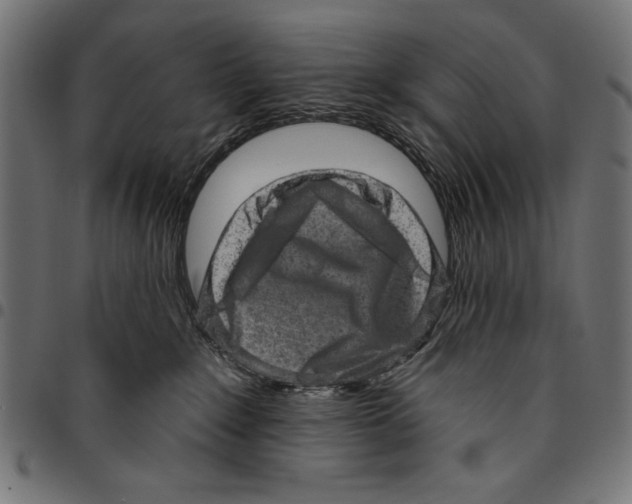 X0000094770235200712141605