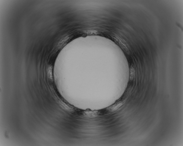 X0000094770238200712141605