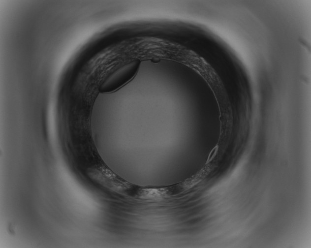 X0000094770239200712141604