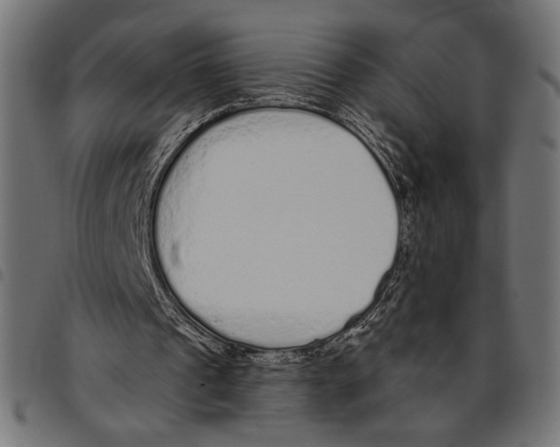 X0000094770241200712141604