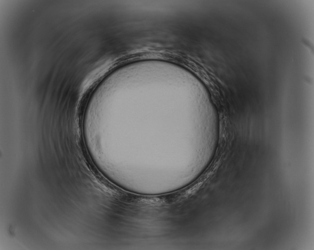 X0000094770245200712141604