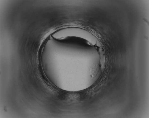 X0000094770248200712141604