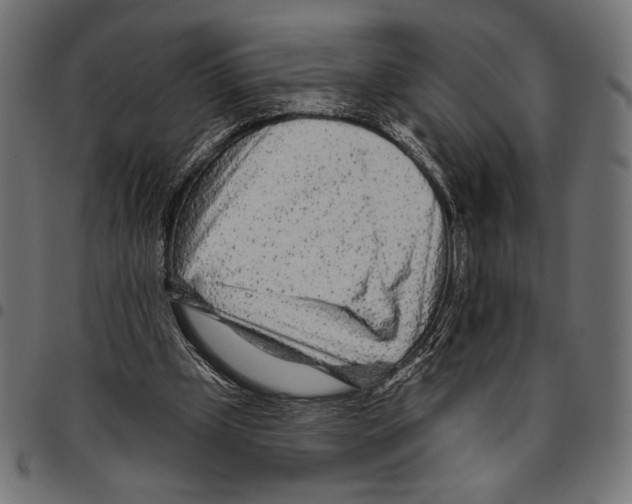 X0000094770249200712141604