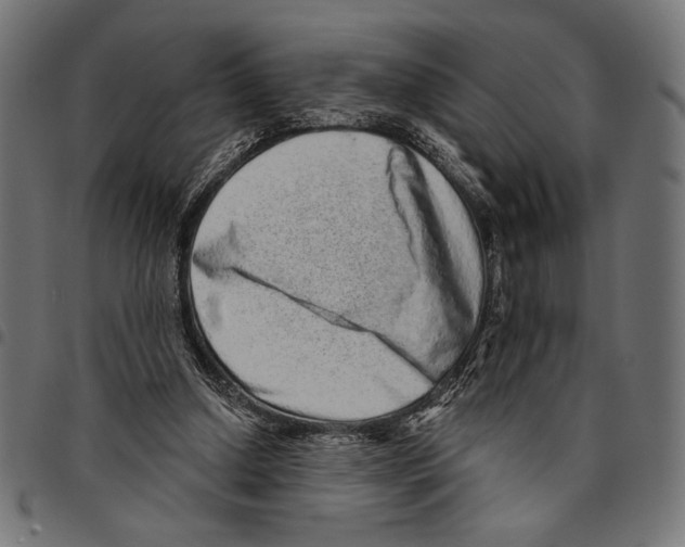 X0000094770250200712141604