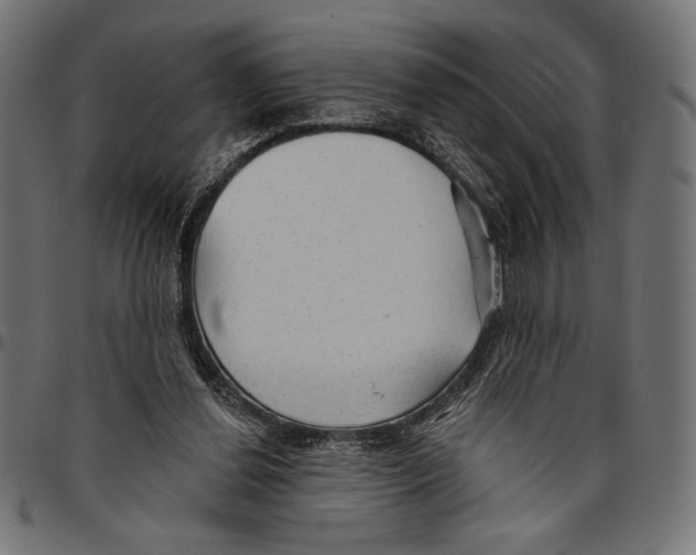 X0000094770252200712141604