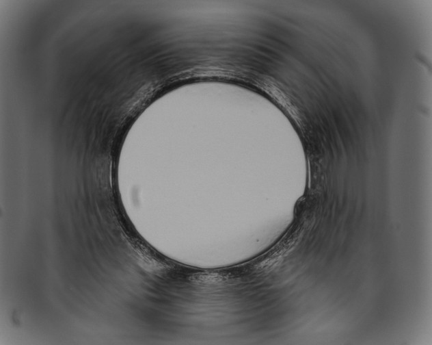 X0000094770253200712141604