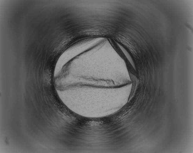 X0000094770255200712141604