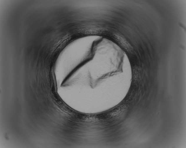 X0000094770258200712141604