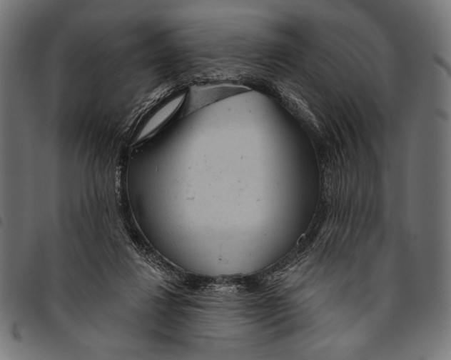 X0000094770260200712141604