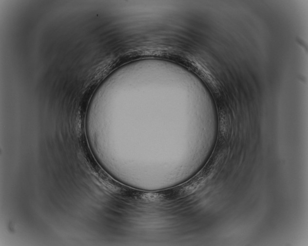 X0000094770261200712141604