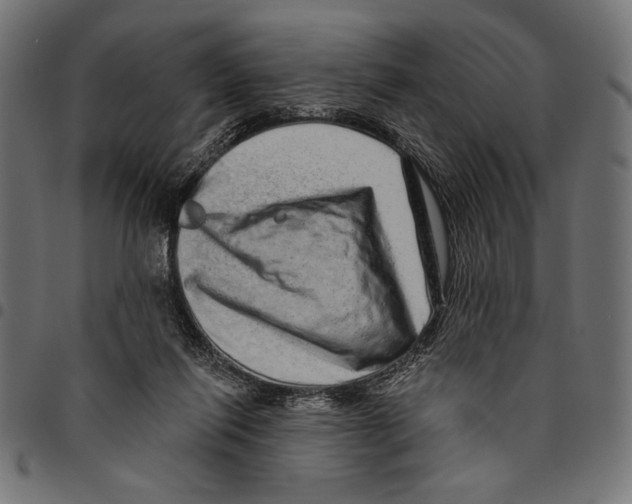 X0000094770262200712141604