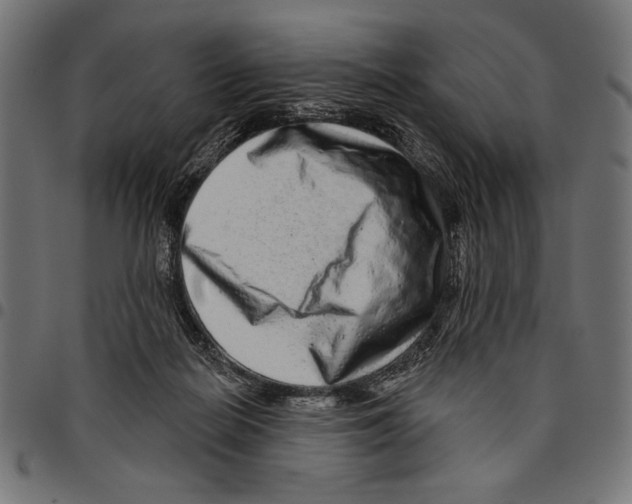 X0000094770266200712141604