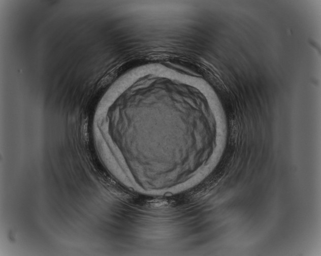 X0000094770267200712141604