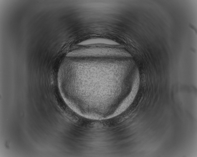 X0000094770272200712141604