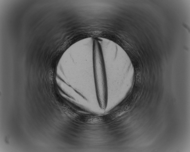 X0000094770274200712141604