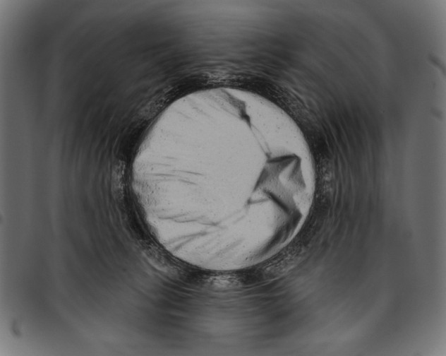 X0000094770275200712141604