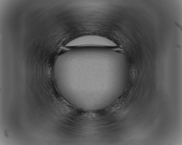 X0000094770276200712141604